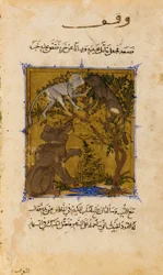 Folio aus einem Sulwan al-Muta (Trost des Vergnügens) von Ibn Zafar; verso: Die Geschichte des Bären und des M...